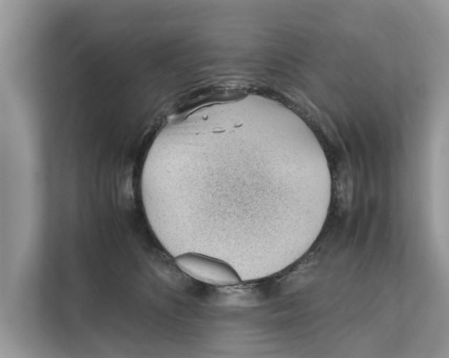 X0000110910516200907161501