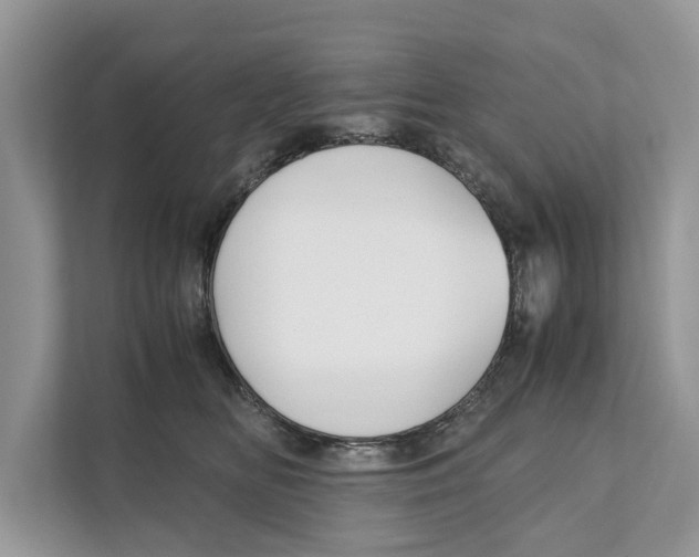 X0000110910518200907161501