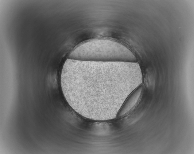 X0000110910520200907161501