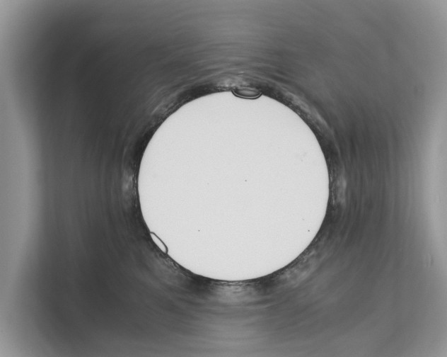 X0000110910521200907161501