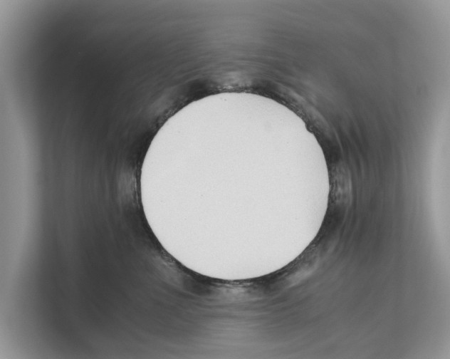 X0000110910523200907161501