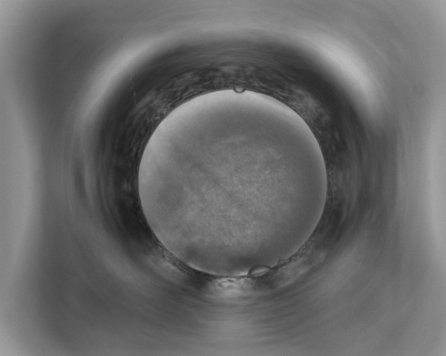 X0000110910526200907161501