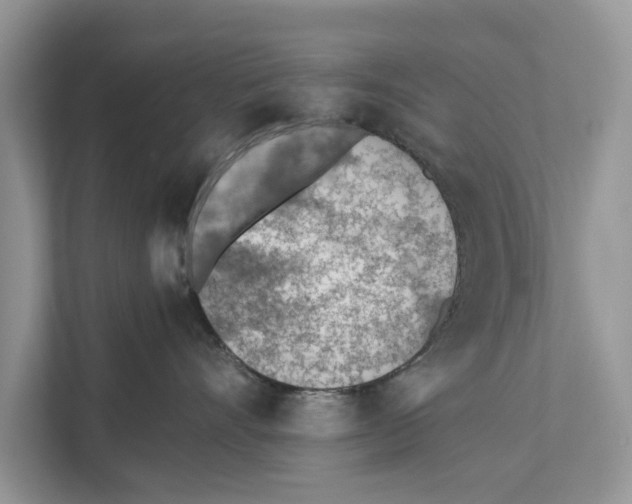 X0000110910528200907161501