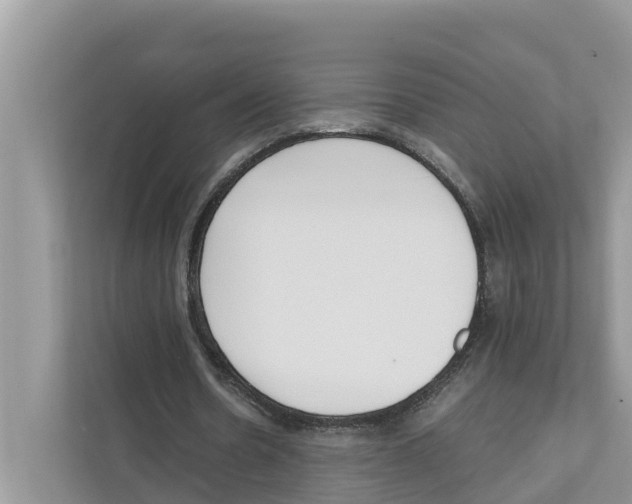 X0000110910530200907161500