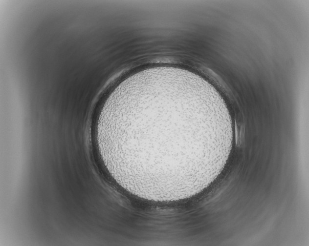 X0000110910531200907161501