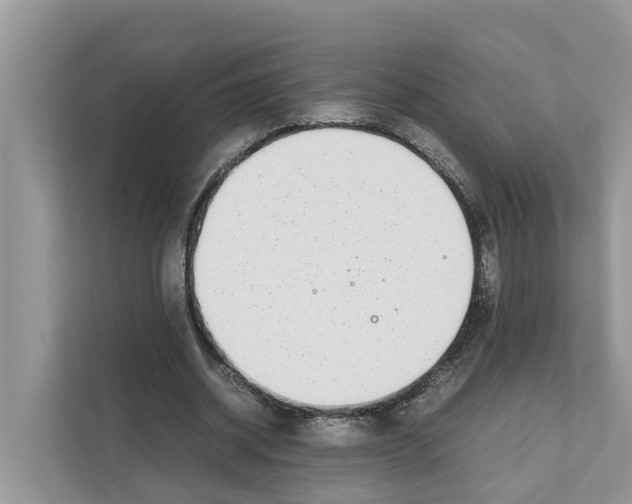 X0000110910534200907161501