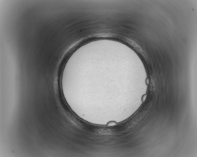 X0000110910535200907161501