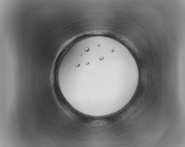 X0000110910536200907161501