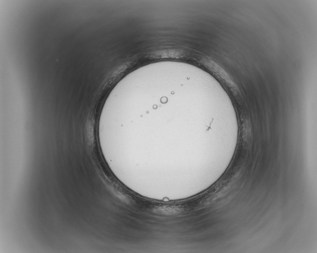 X0000110910537200907161501