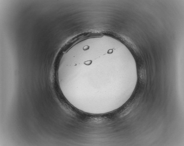 X0000110910540200907161501