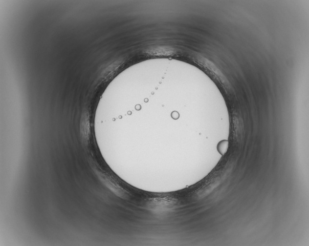 X0000110910541200907161501