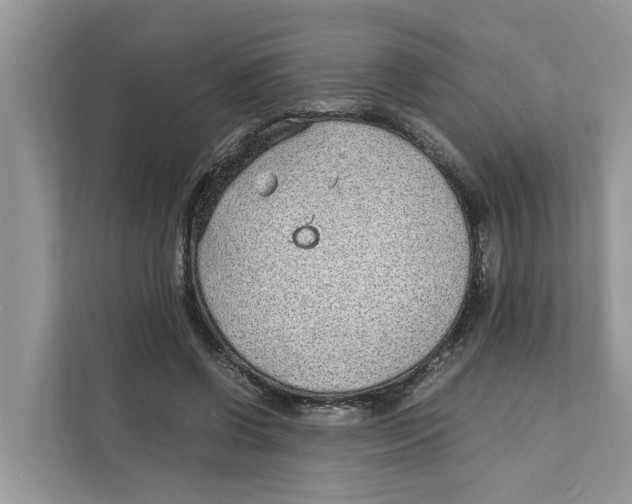 X0000110910542200907161501