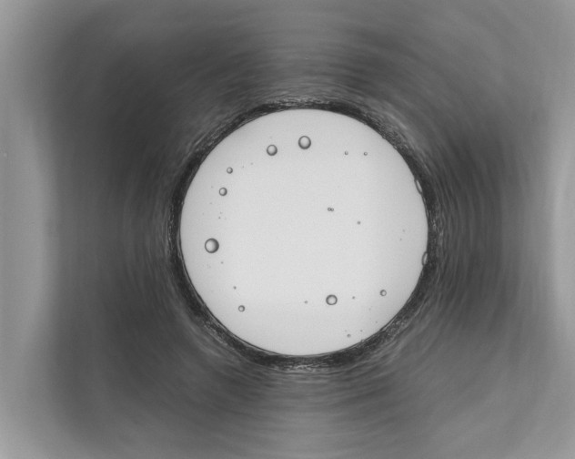 X0000110910546200907161501