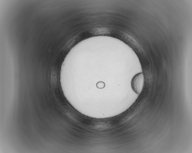 X0000110910549200907161501