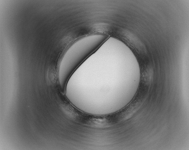 X0000110910552200907161501