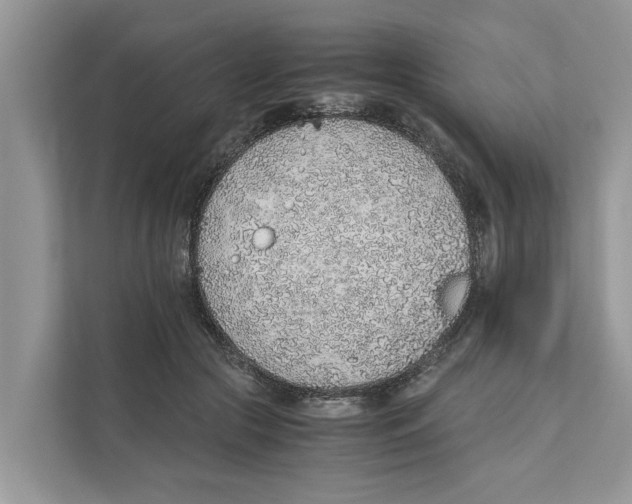 X0000110910553200907161501