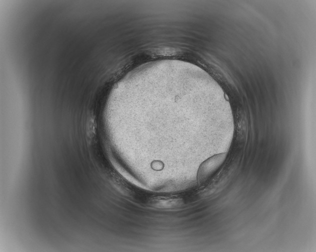 X0000110910555200907161501