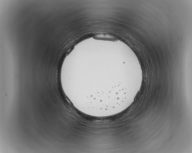 X0000110910556200907161501