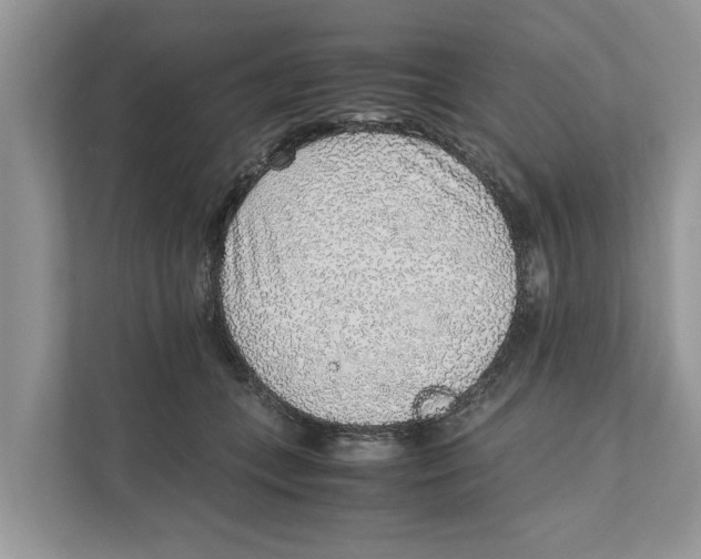 X0000110910559200907161501