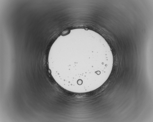 X0000110910560200907161501