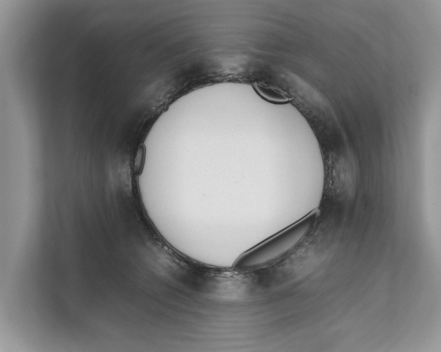 X0000110910562200907161501