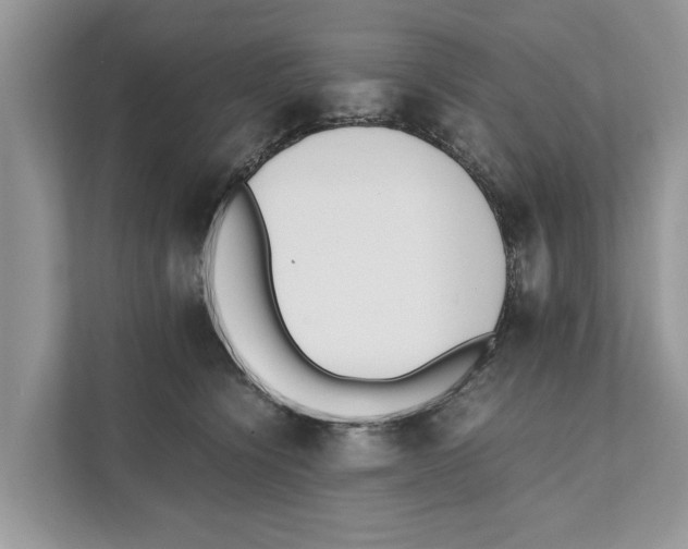 X0000110910564200907161501