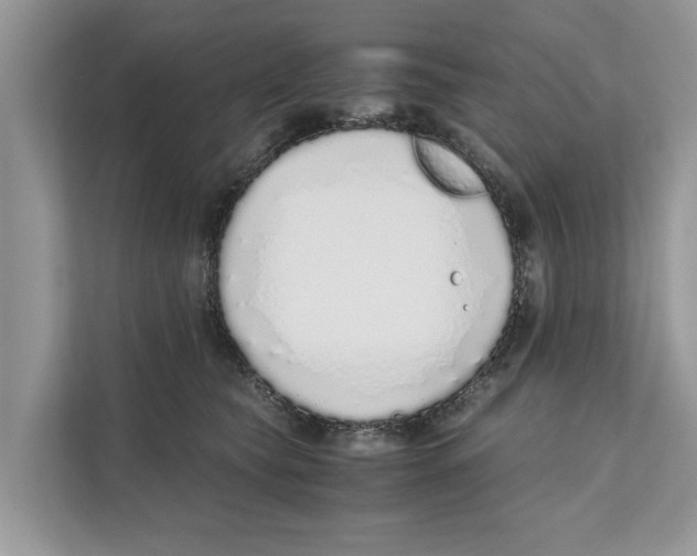 X0000110910565200907161501