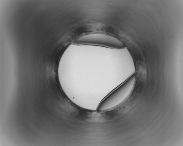 X0000110910566200907161501