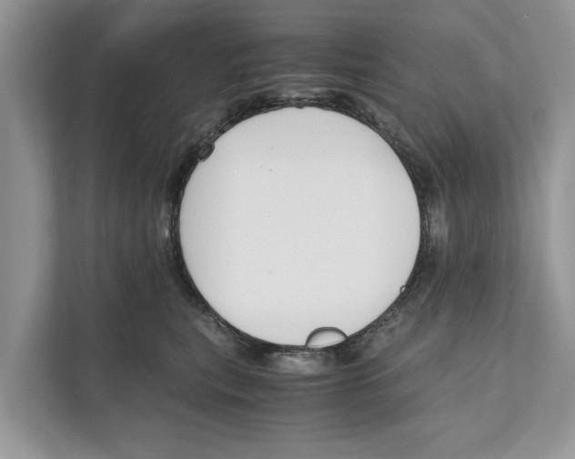 X0000110910567200907161501