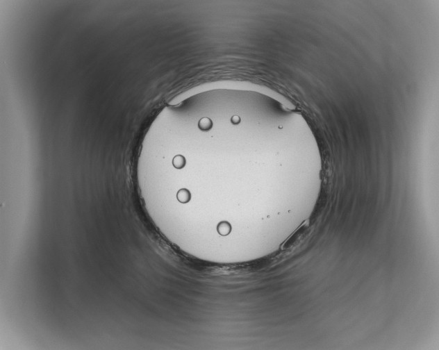 X0000110910568200907161501