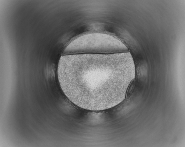 X0000110910570200907161501