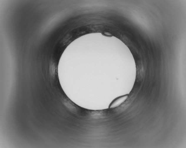 X0000110910574200907161501