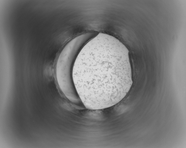 X0000110910576200907161501