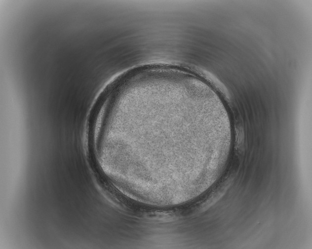 X0000110910580200907161500