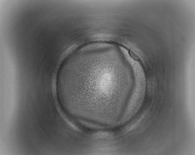 X0000110910581200907161500