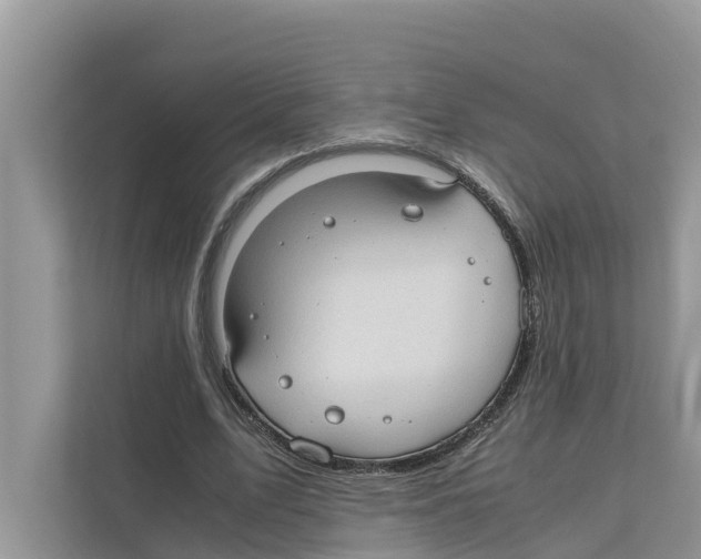 X0000110910583200907161500