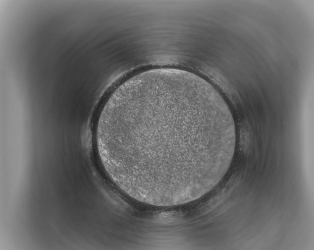 X0000110910584200907161500