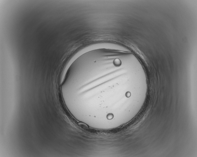 X0000110910585200907161500