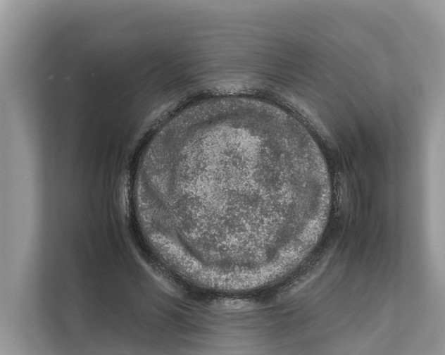 X0000110910590200907161500