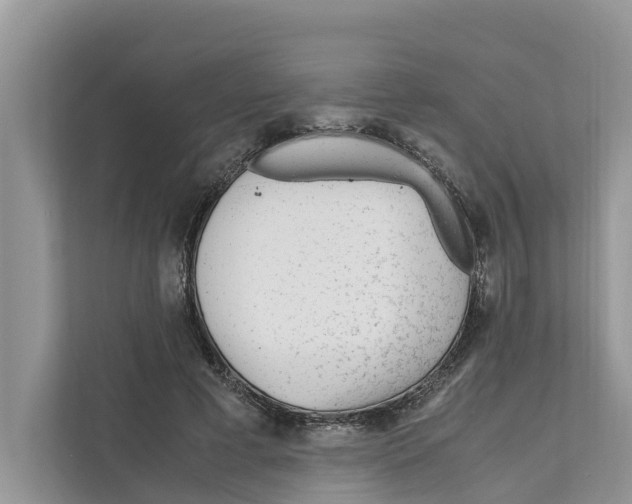 X0000110910593200907161500