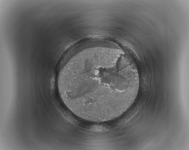 X0000110910596200907161500