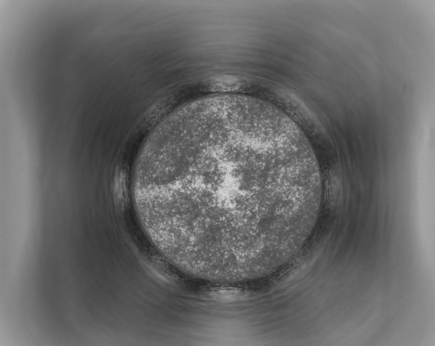 X0000110910598200907161500