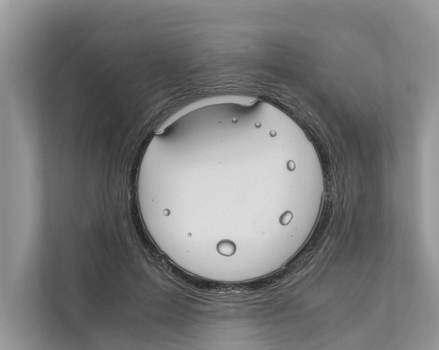 X0000110910599200907161500