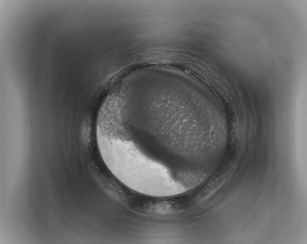 X0000110910600200907161500