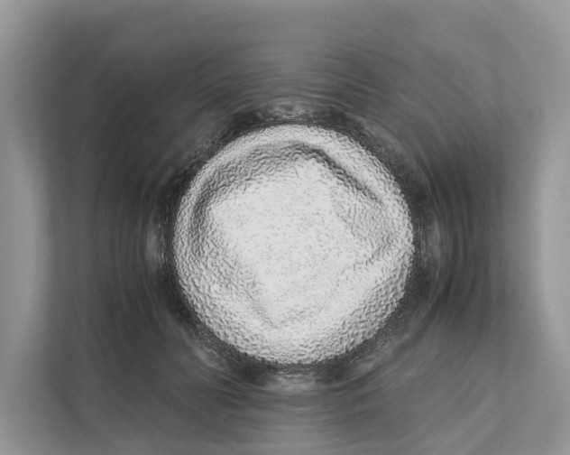 X0000110910606200907161500