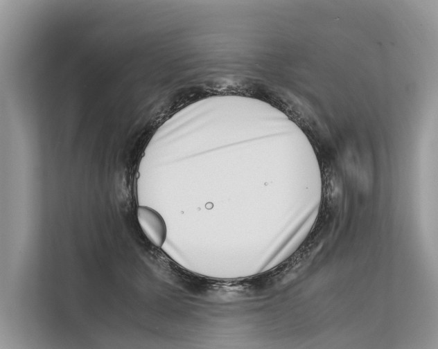 X0000110910607200907161500