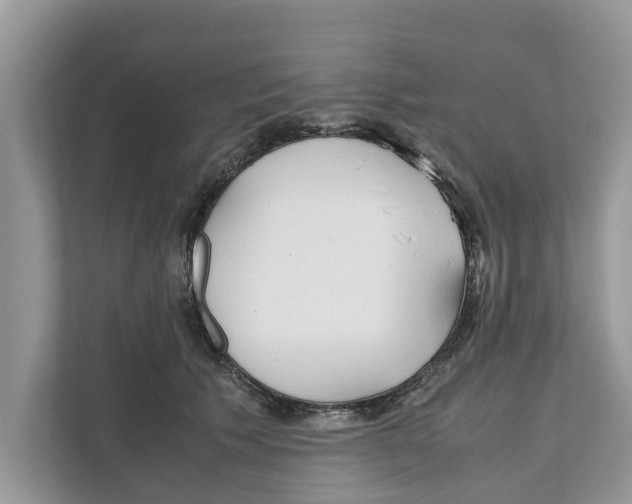 X0000110910609200907161500