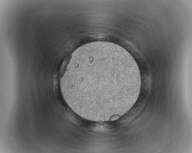 X0000110910612200907161500