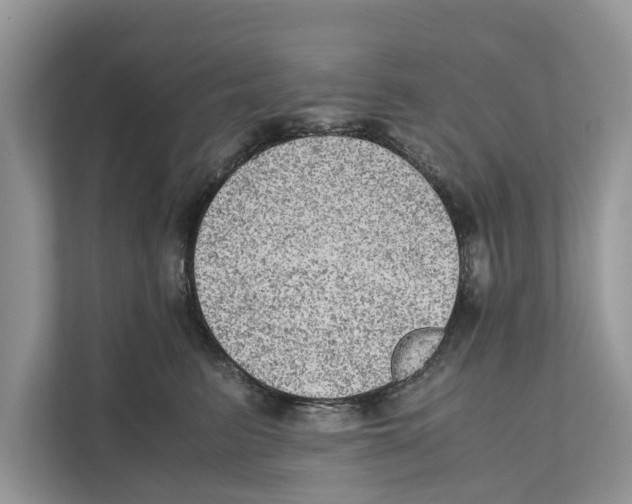 X0000110910615200907161500