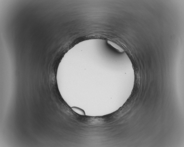 X0000110910617200907161500